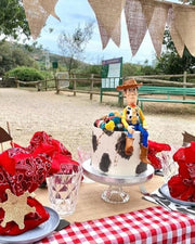 Celebrate with Kids' Picnic Parties in Barcelona – Fun, Magic, and Memories!