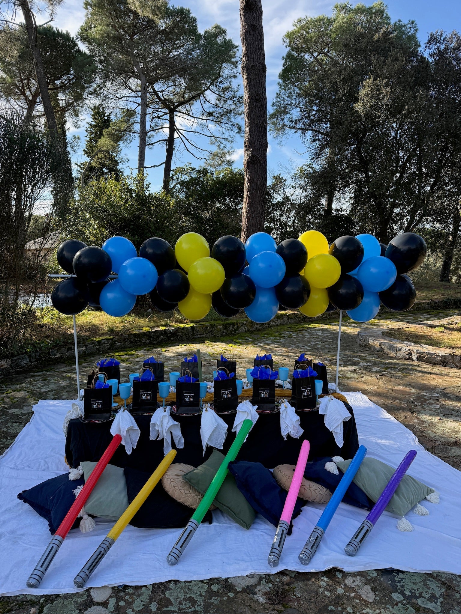 starwars kidsparty decoratie picnic