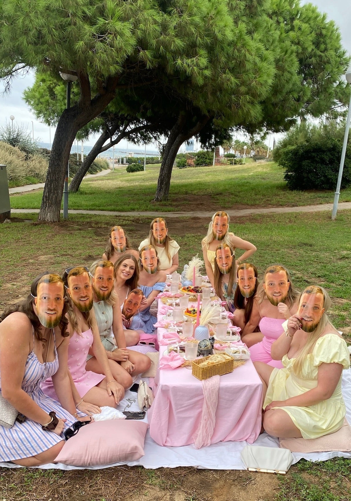 Hen party picnic, pink theme in the park