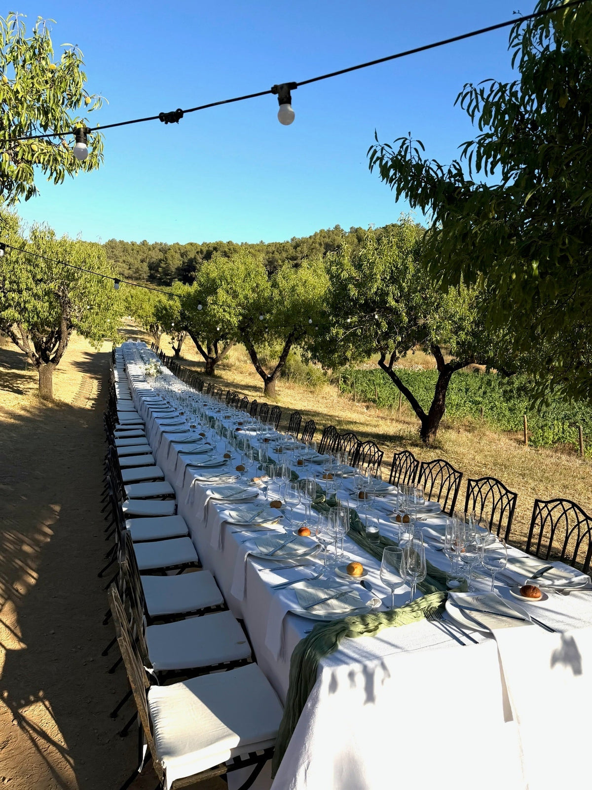 Long wedding table set up, in a winery