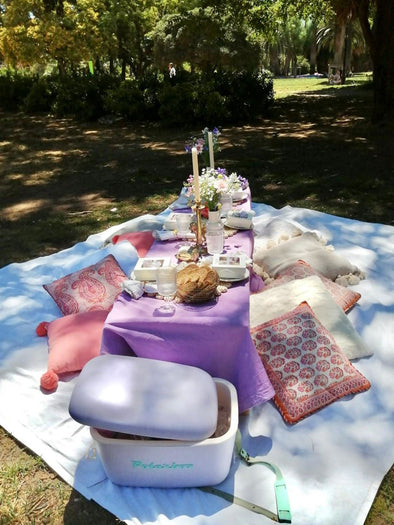 Hen party activities Marbella picnic