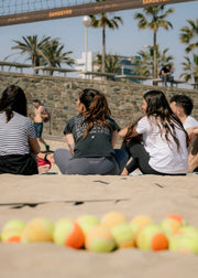 A group of friends sitting on a sandy beach court near a volleyball net, with palm trees and a stone wall in the background. Tennis balls are visible in the sandy foreground.