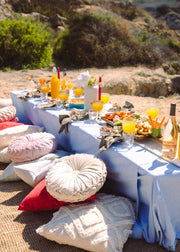 Outdoor picnic setup with tablecloth, cushions, and drinks by a scenic coastal area.