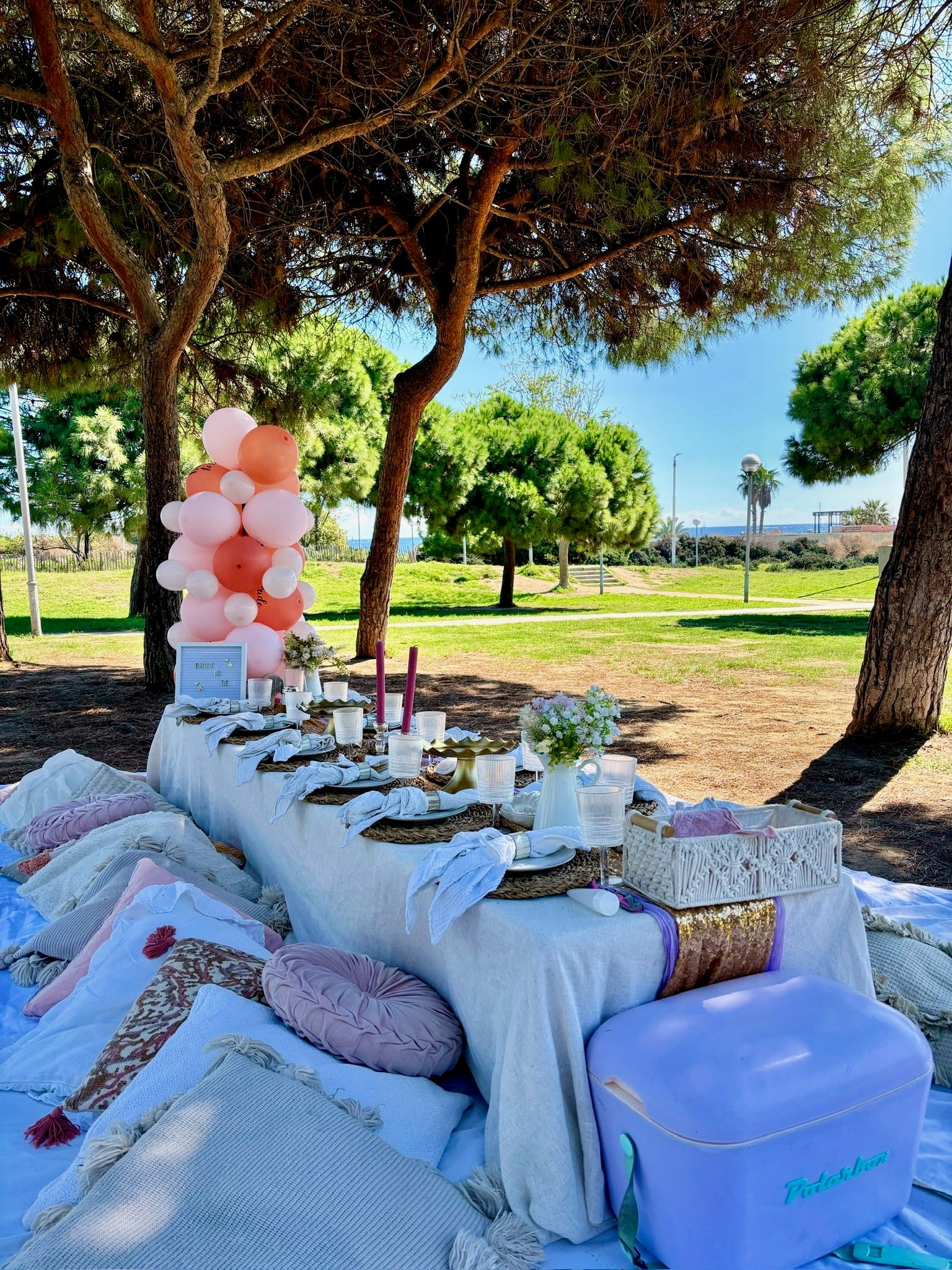 Birthday Party Maresme – Create Unforgettable Memories with a Perfect Picnic