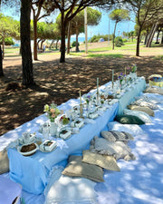 Picnic Barcelona – Celebrate with a Beautiful Beach Picnic Experience