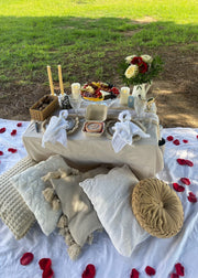 Outdoor picnic setup with table, cushions, and flowers on a grassy field.