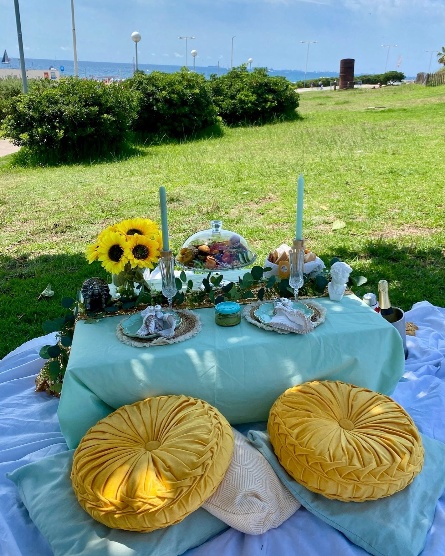 Intimate romantic picnic setup with a gourmet grazing platter, plush pillows, a soft blanket, and delicate flower arrangements, perfect for a couple's serene outdoor escape in Barcelona.