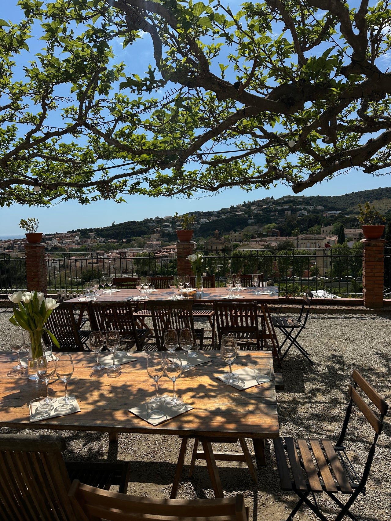 Outdoor dining tables and chairs arranged under a large leafy tree on a terrace, overlooking a scenic hillside landscape with buildings and blue sky.