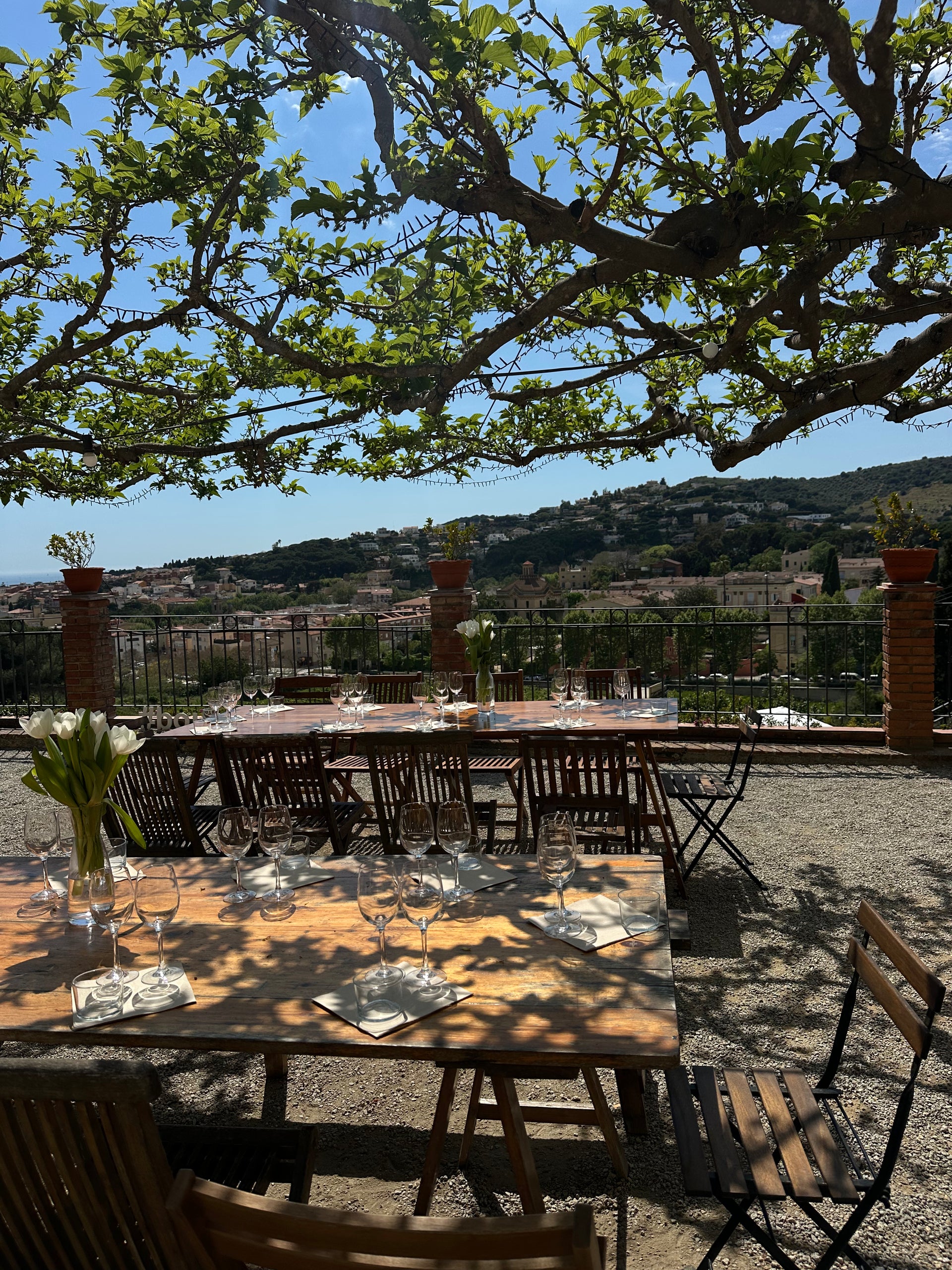 Outdoor dining tables and chairs arranged under a large leafy tree on a terrace, overlooking a scenic hillside landscape with buildings and blue sky.