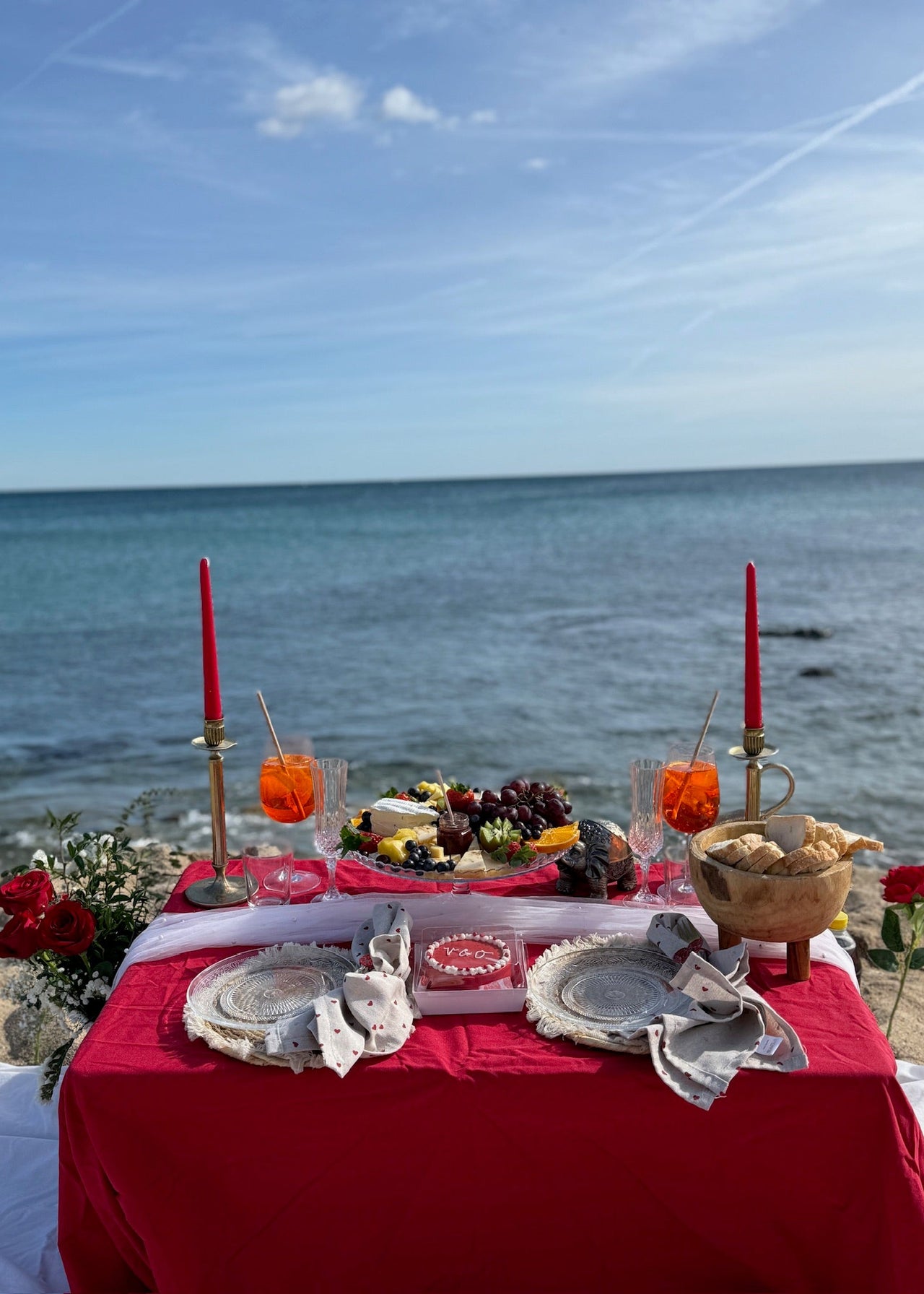 proposal picnic with red colors 