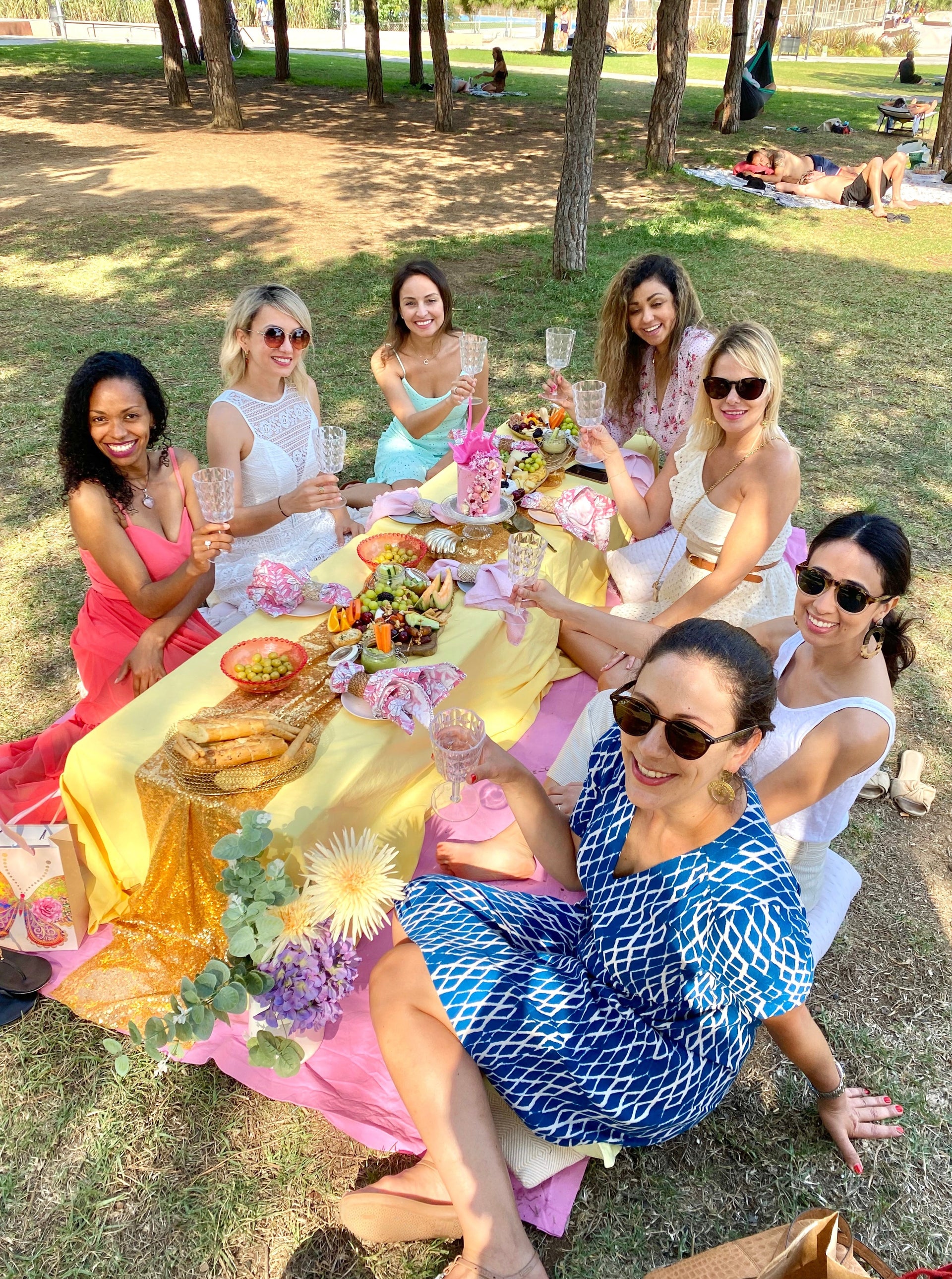 Group Picnic Ibiza