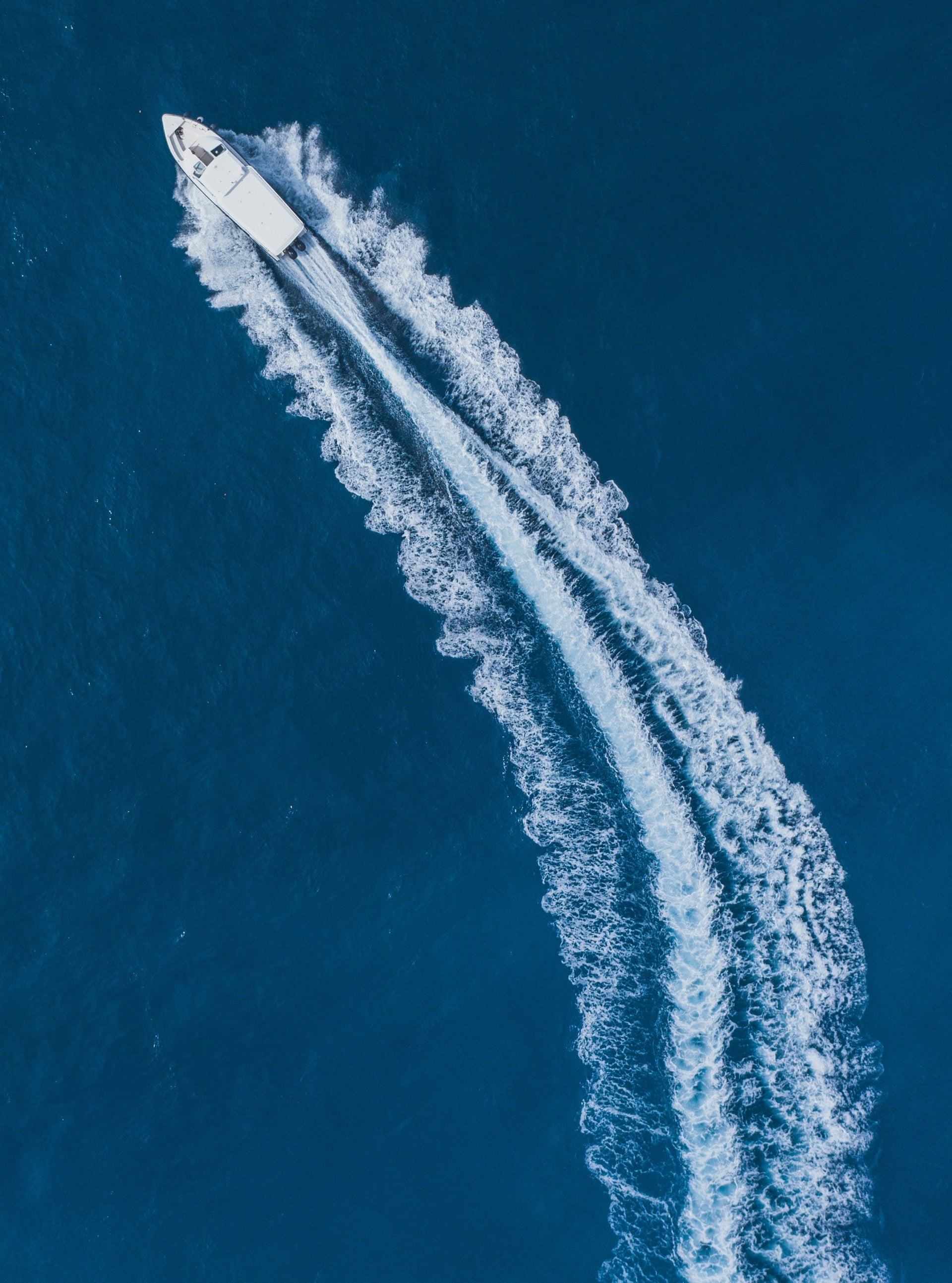 Speedboat Trip Marbella